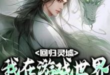 在线免费阅读回归灵墟:我在游戏世界东山再起完整小说-书评酱