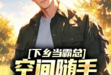 下乡当霸总,空间随手一套就有货免费阅读,下乡当霸总,空间随手一套就有货陆青阳沈茉-书评酱