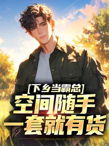 下乡当霸总，空间随手一套就有货免费阅读，下乡当霸总，空间随手一套就有货陆青阳沈茉