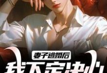 寻找能够免费阅读妻子逃婚后，我下定决心选了她小说的平台-书评酱