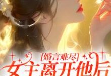 婚言难尽:女主离开他后独当一面最新章节,婚言难尽:女主离开他后独当一面免费阅读-书评酱