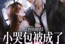 将错就错：小哭包被成了大佬心尖宠（慕汀洲姜桃）在线免费阅读-书评酱