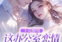 完结版《上司撩情,这办公室恋情我谈定了》章节目录在线阅读-书评酱