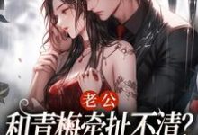 求老公和青梅牵扯不清?我放你自由!小说免费资源-书评酱