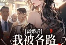 离婚后,我被各路大佬缠上了苏悦小说大结局免费试读-书评酱