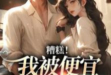 糟糕!我被便宜老公缠上了小说有没有完结版在线?-书评酱