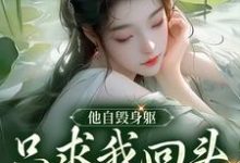 他自毁身躯,只求我回头看他一眼小说有没有完整的免费版本在线阅读?-书评酱