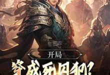 开局穿成死囚犯?别急,我能称王小说有没有完整的免费版本在线阅读?-书评酱