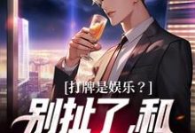 《打牌是娱乐?别扯了,和打仗差不多》小说章节在线试读,《打牌是娱乐?别扯了,和打仗差不多》最新章节目录-书评酱