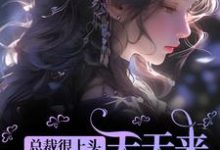 免费在线阅读总裁很上头,天天来直播间守护我小说的正规网站有哪些?-书评酱