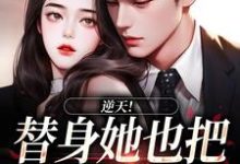 免费看逆天！替身她也把总裁当替身小说的网站有哪些？-书评酱