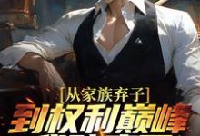 从家族弃子到权利巅峰,我赌赢了这本小说完结了吗?免费查看最新章节-书评酱