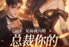 蓄谋已久,我被京圈太子强娶了林淼傅砚舟小说免费阅读-书评酱