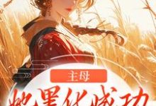 主母她黑化成功，完虐恶婆母小说完结版章节免费阅读-书评酱