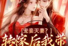 宠妾灭妻?转嫁后我带皇子夺王位小说完结了吗?在哪里可以免费读到?-书评酱