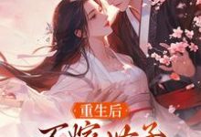 《重生后，不嫁世子嫁给了败家子》小说大结局免费试读 沈棠宁池宴小说-书评酱