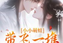 《小小萌娃，带飞一堆隐世大能》小说章节列表免费试读，苏知知薛澈小说在线阅读-书评酱