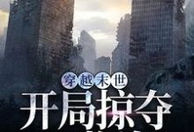 林寻小说《穿越末世,开局掠夺S物资》在线阅读-书评酱