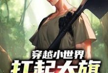 免费在线阅读穿越小世界,扛起大旗就是干小说的正规网站有哪些?-书评酱