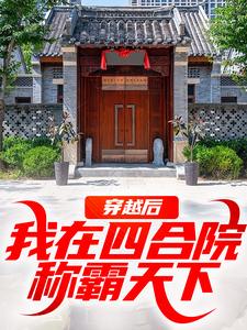穿越后，我在四合院称霸天下最新章节，穿越后，我在四合院称霸天下免费阅读