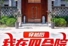 穿越后,我在四合院称霸天下何雨柱小说大结局免费试读-书评酱