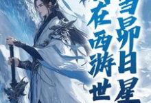 求我在西游世界，当昴日星官小说的全文免费阅读链接-书评酱