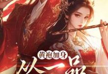 卫小宝韦小宝小说《黄袍加身,从一品侯爵开始》在线阅读-书评酱