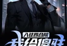 小说《入驻四合院，我给傻驻送关怀！》章节免费阅读-书评酱