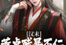 韩明小说叫什么(汉末:董卓残暴不仁?我起义警告免费阅读)-书评酱