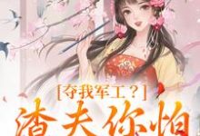 小说《夺我军工？渣夫你怕是没命享》章节阅读-书评酱