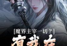 魔界主宰一切?有我在谁敢造次免费阅读,魔界主宰一切?有我在谁敢造次诺特伊莎瑞尔-书评酱