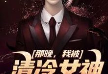 完结版《那晚,我被清冷女神强吻了》免费阅读-书评酱