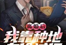 离婚后,我靠种地身价过亿小说,离婚后,我靠种地身价过亿免费阅读-书评酱