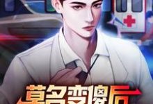 莫名变傻后，我成了乡村团宠四柱小说免费阅读-书评酱