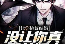 让你协议结婚，没让你真娶美娇妻苏浔楚攸雨，让你协议结婚，没让你真娶美娇妻章节在线阅读-书评酱