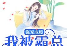 庄见希裘易洵小说强宠成瘾,我被霸总圈进怀章节免费阅读-书评酱