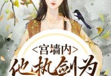 宫墙内，他执剑为我杀出血路最新章节，宫墙内，他执剑为我杀出血路章节在线阅读-书评酱