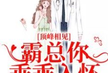 《顶峰相见,霸总你乖乖入怀》小说大结局免费试读 陆随舟孟汀羽小说-书评酱