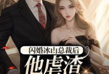 闪婚冰山总裁后，他虐渣玩上瘾了小说全文阅读需要付费吗？寻找免费资源-书评酱