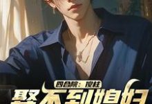 小说《四合院：傻柱，娶不到媳妇找我干啥》章节免费阅读-书评酱