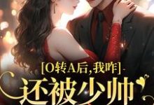 《O转A后,我咋还被少帅强取豪夺了》全集免费在线阅读(池影霍时晏)-书评酱