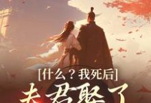 已完结小说《什么？我死后，夫君娶了小白莲》在线章节阅读-书评酱