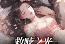 完结版《救赎之光:我是你的太阳》章节目录在线阅读-书评酱
