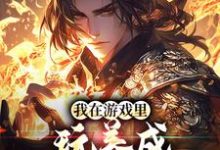 小说《我在游戏里,玩养成治愈了癌症》在线章节阅读-书评酱