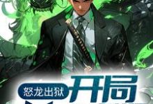 怒龙出狱:开局奉旨成婚小说免费资源,怒龙出狱:开局奉旨成婚在线阅读-书评酱