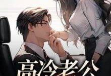 高冷老公是卑微忠犬辛甜秦汉白小说完结版章节在线阅读-书评酱
