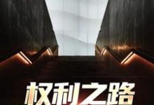哪里能找到权利之路:我到底是谁小说的最新更新和免费章节?-书评酱