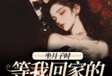 完结版《坐月子时,等我回家的前夫疯了》免费阅读-书评酱