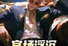 官场浮沉：不躺平才能赢免费阅读，官场浮沉：不躺平才能赢章节在线阅读-书评酱