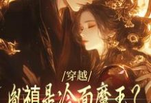 穿越:胤禛是冷面魔王?历史骗我!小说无弹窗阅读的网站推荐-书评酱